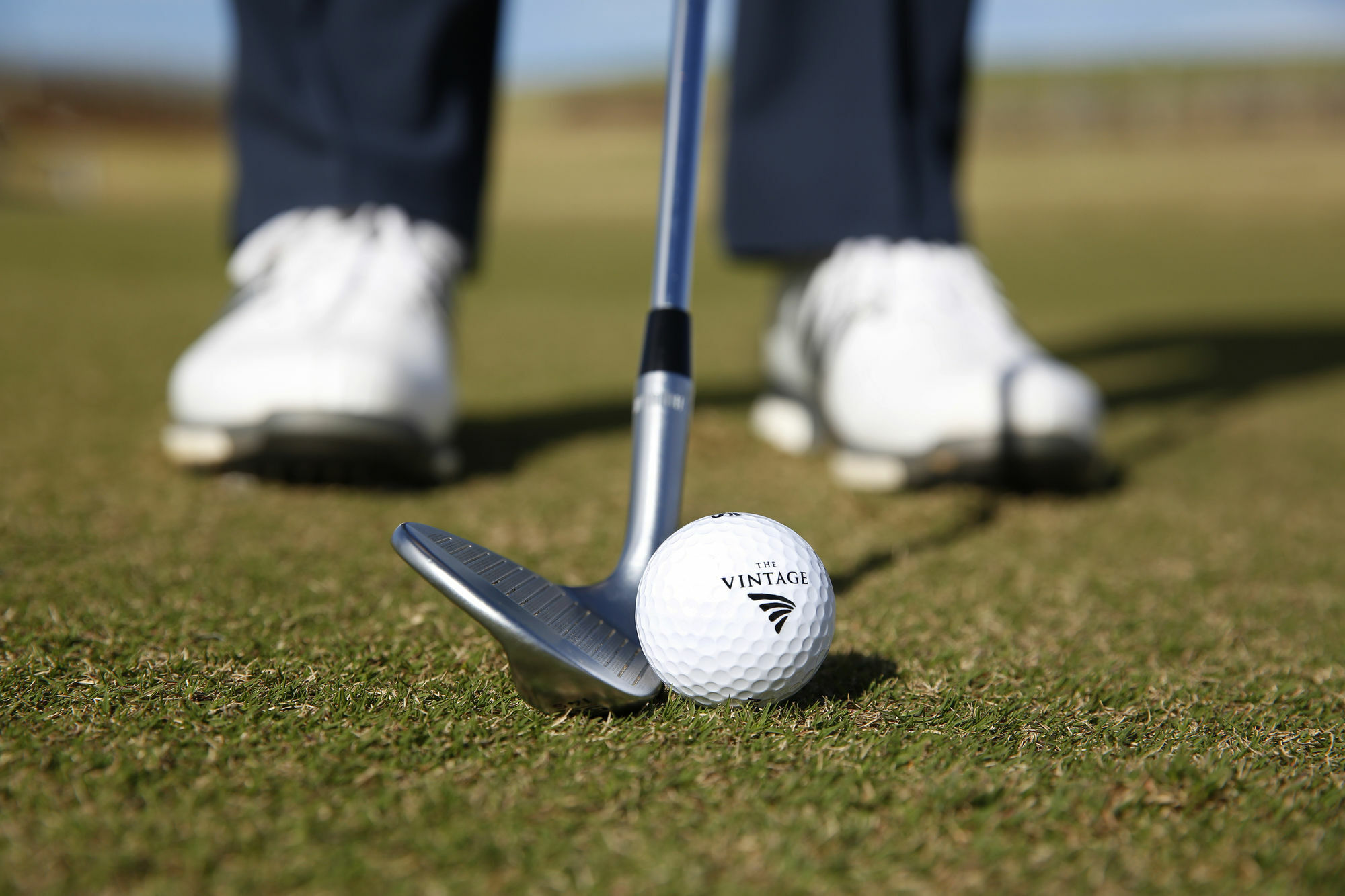 Chateau Elan At The Vintage Поколбин Екстериор снимка Golf ball and club