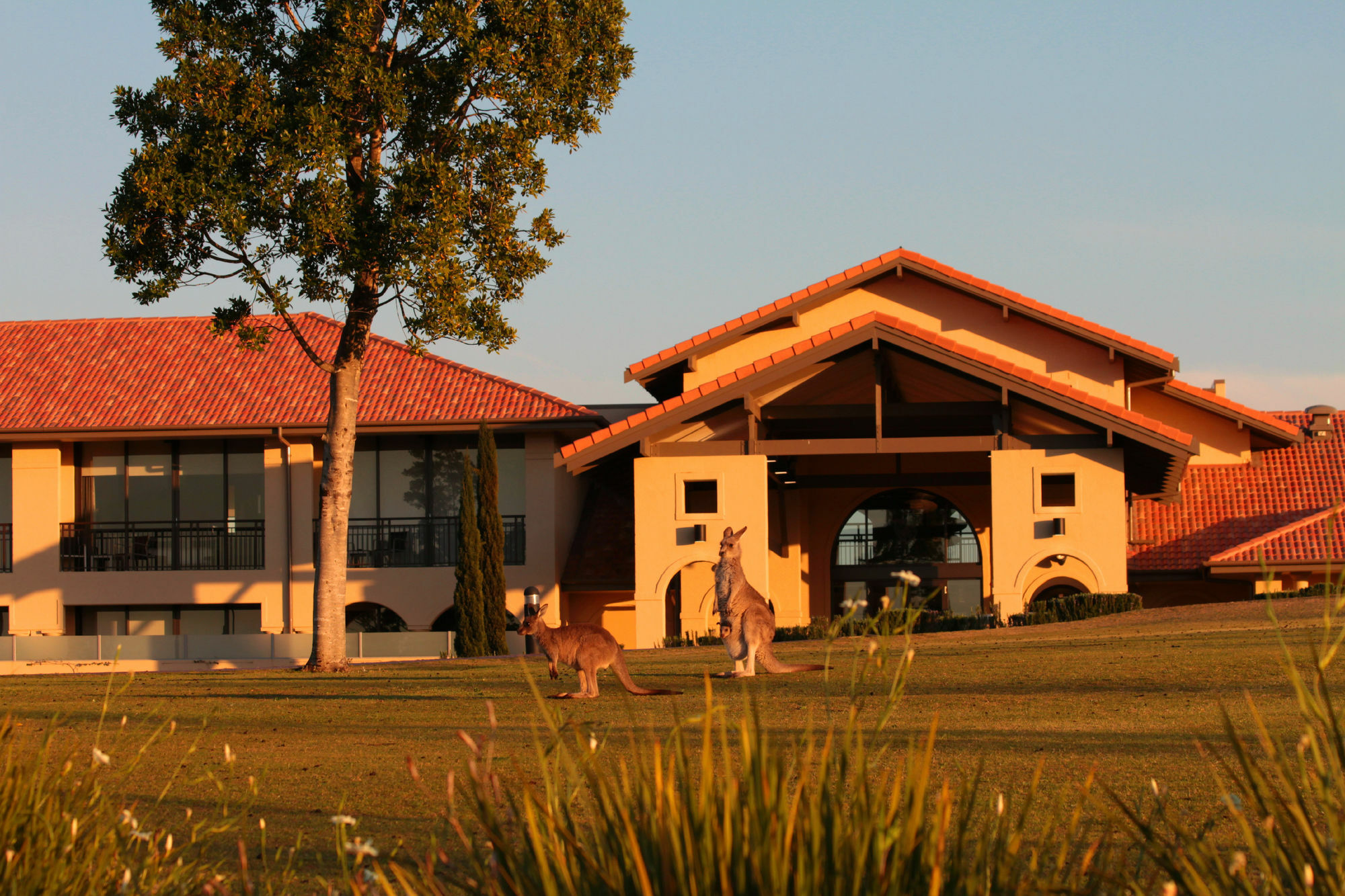 Chateau Elan At The Vintage Поколбин Екстериор снимка Clubhouse at the Sanctuary Golf Resort